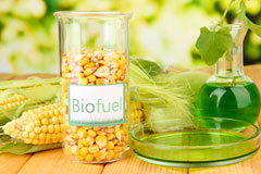 South Huish biofuel availability